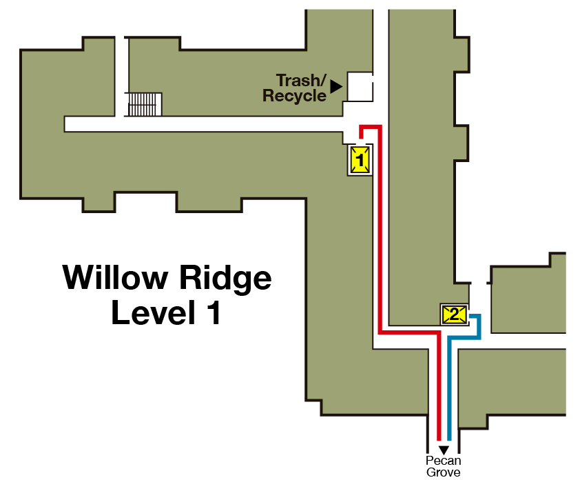 WR-Level-1-Paths